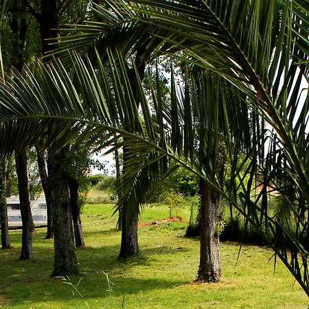 Parque De Campismo Orbitur Camping 3*