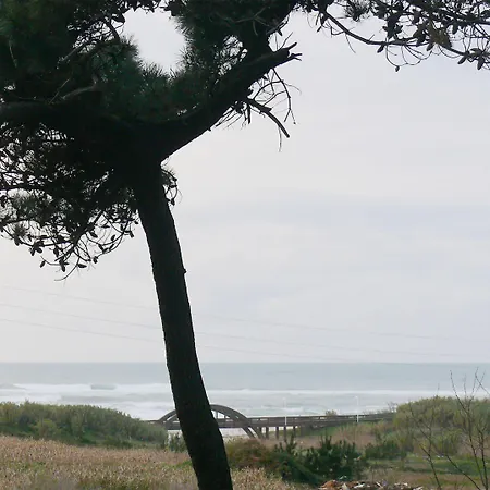 Parque De Campismo Orbitur Кемпинг Angeiras