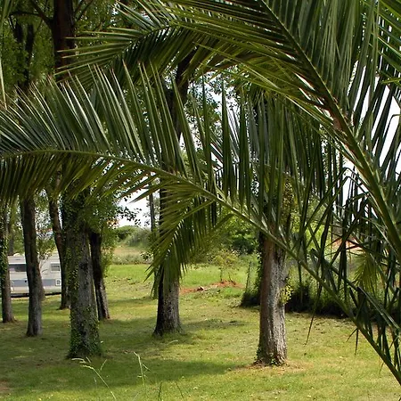 Camping Parque De Campismo Orbitur 3*