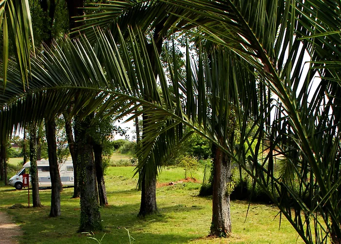 Parque De Campismo Orbitur Campingplatz 3*