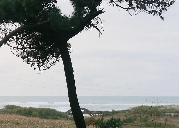 Parque De Campismo Orbitur Campingplatz Angeiras