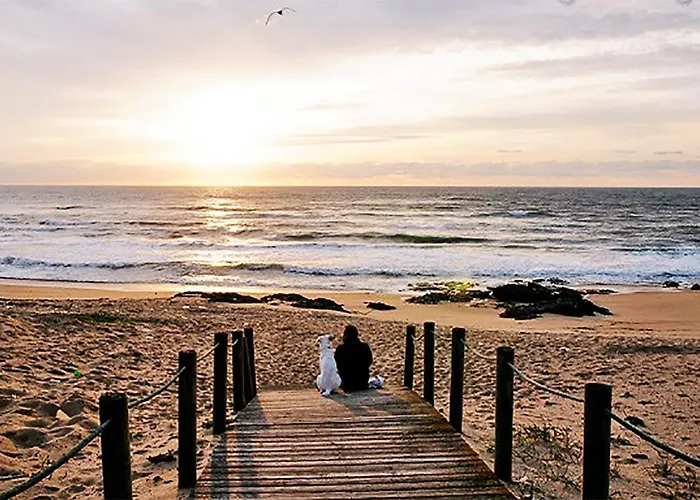Campingplatz Parque De Campismo Orbitur