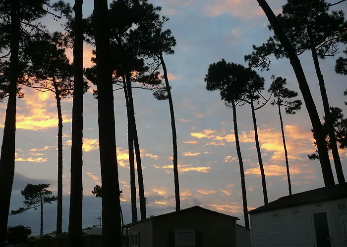 Parque De Campismo Orbitur 3* Angeiras